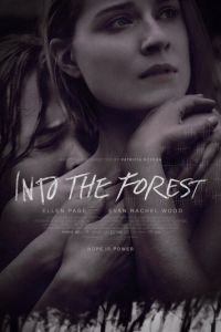   В лесу (2015)