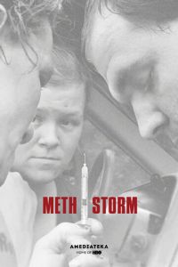 Метамфетаминовый шторм (2017)